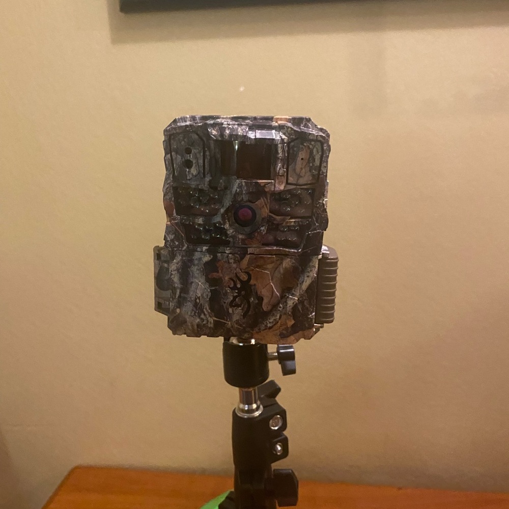 Trail Cam or home surveillance